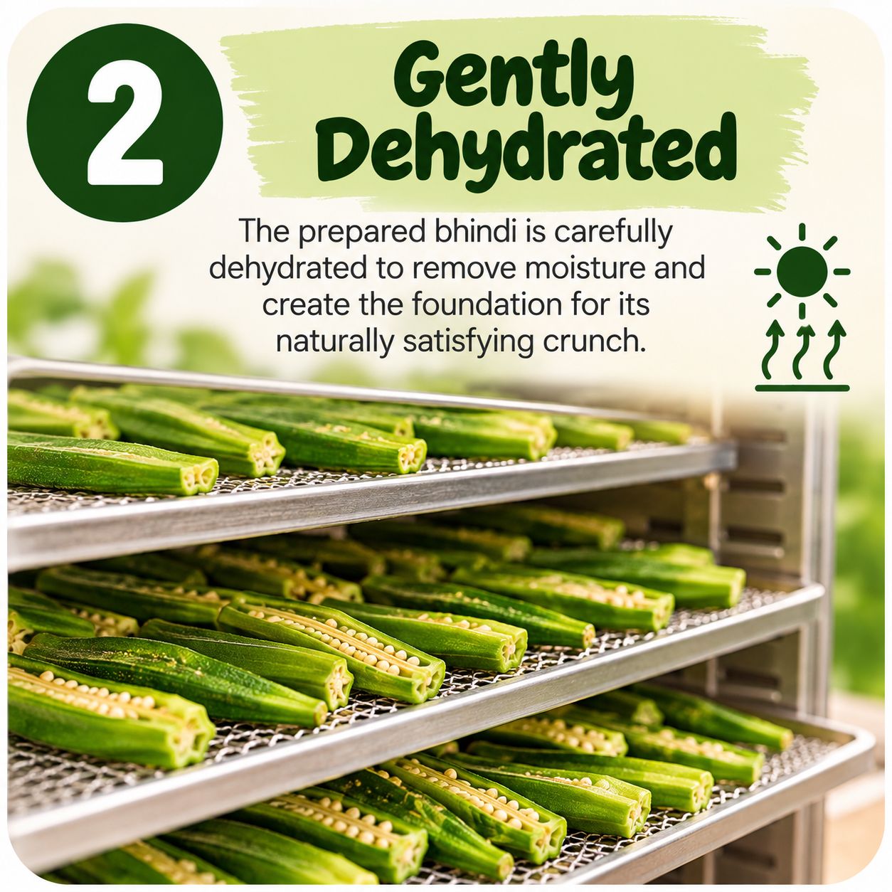 Bhindi (okra) slices gently dehydrated on trays to remove moisture - step 2 of HealthyGrabz vegetable chips